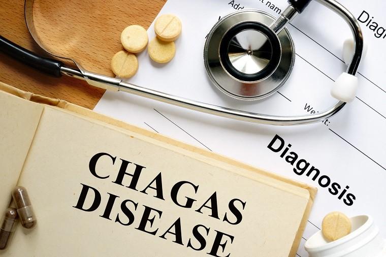 Choroba Chagasa Czym Jest Przyczyny Objawy Przeciwdziałanie Tvn Zdrowie 8688