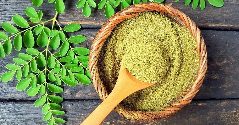 Moringa - na zdjęciu znajduje się sproszkowana moringa oraz liście moringi. Roślina lecznicza - moringa