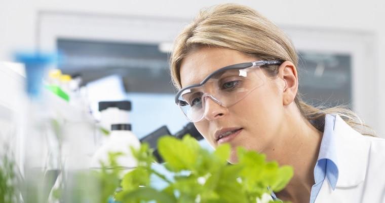 Żywność modyfikowana genetycznie - naukowiec pochyla się nad roślinami w laboratorium 