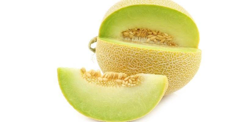 melon galia