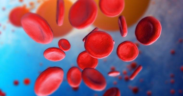Ilustracja czerwonych komórek krwi erytrocytów pod mikroskopem. 