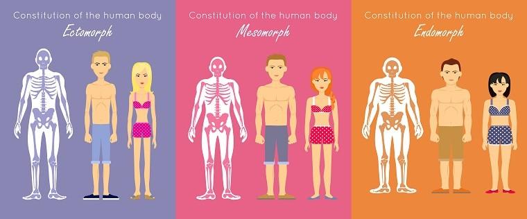 typy budowy ciała człowieka ektomorfik