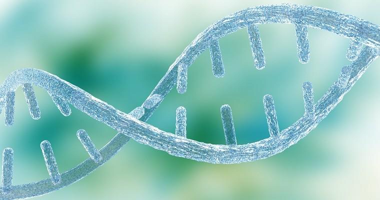 Fragment kodu DNA - Genotyp