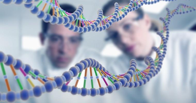 Naukowcy patrzą na model DNA