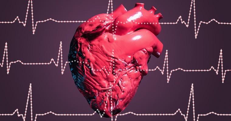 Ludzkie serce 