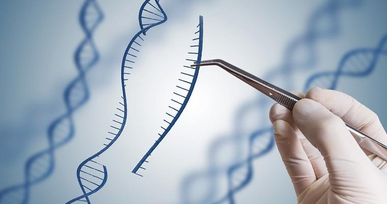Uszkodzony łańcuch DNA 