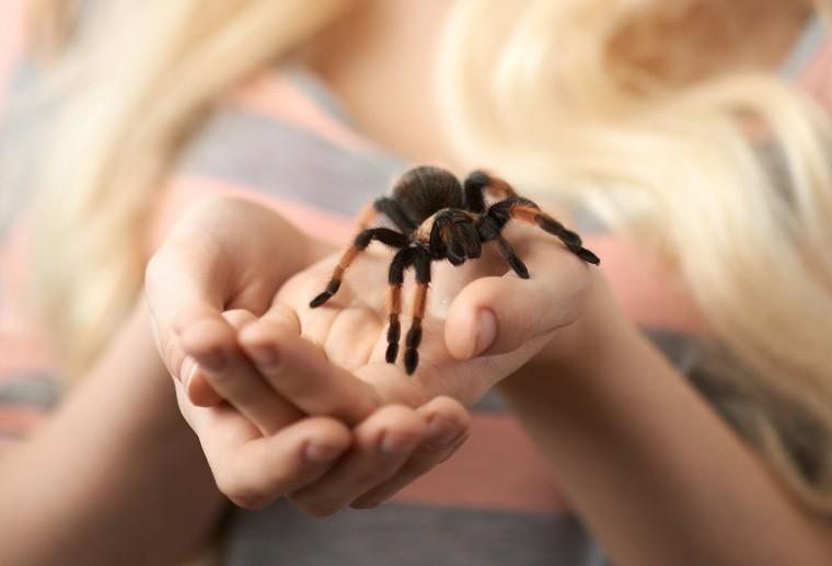 Arachnofobia Lęk Przed Pająkami Czym Jest Jak Go Wyleczyć Tvn Zdrowie 1484