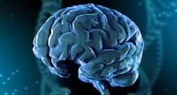 Co oznacza i do czego prowadzi zanik kory mózgowej? Przyczyny i objawy schorzenia