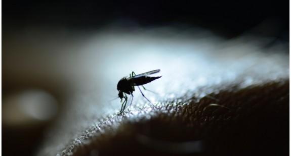 Przełom w walce z malarią zahamuje rozprzestrzenianie się choroby na całym świecie?