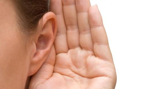 Za co odpowiada narząd Cortiego w uchu?