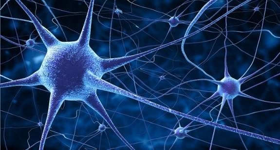 Synapsa – co to jest? Jak jest zbudowana i jak działa? 