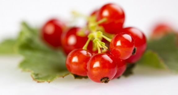 Czerwone porzeczki – jakich witamin dostarczają? Właściwości zdrowotne owoców i soku. 