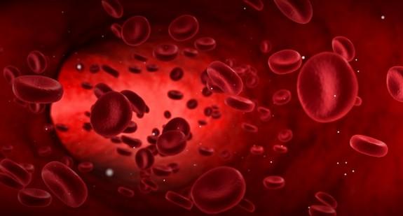 WBC, czyli white blood cells – rodzaje, badanie, normy