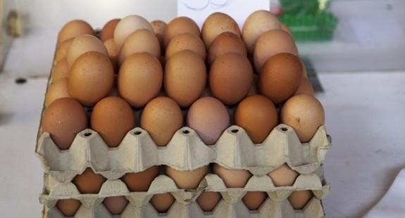 Uwaga na jajka skażone salmonellą!