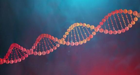 Histony rdzeniem ludzkiego DNA – właściwości oraz funkcja