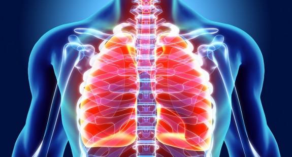 Budowa płuc człowieka – anatomia, segmenty, działanie 