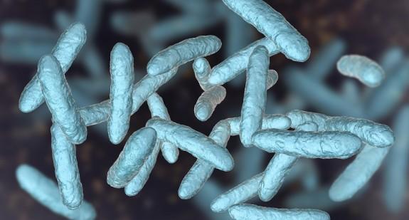 Mikrobiom a zdrowie człowieka. Dlaczego niektóre bakterie są ważne dla zdrowia?