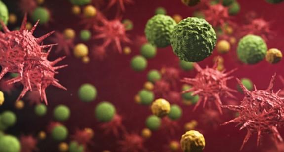 Wirus a bakteria – różnice między patogenami i wywołanymi przez nie infekcjami organizmu