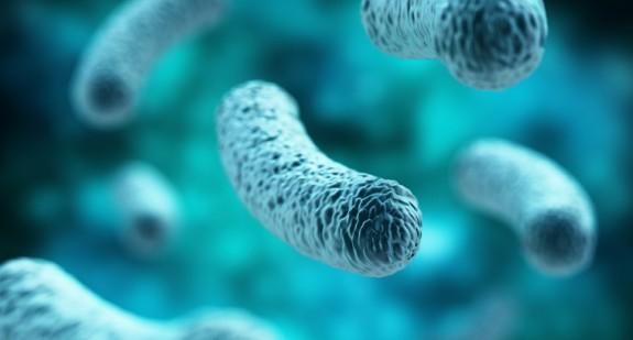 Bakterie chorobotwórcze – jakie są czynniki ryzyka u człowieka?