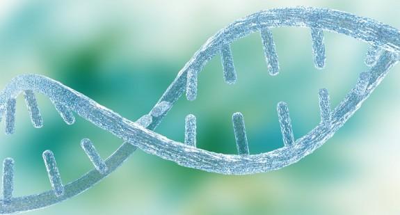 Czym jest genotyp? Charakterystyka i właściwości posiadania danego genu