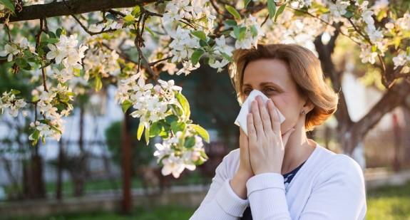 Co pyli w kwietniu? Rośliny wywołujące alergię w kwietniu