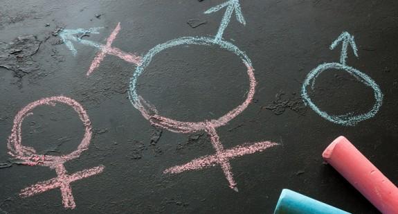 Gender – teoria płci kulturowej i związana z nią ideologia