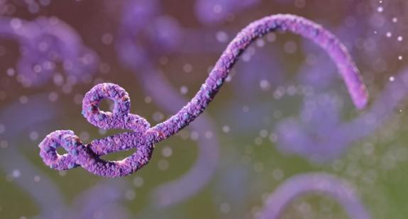 Wirus: Niewidzialny zabójca. Co musisz wiedzieć o wirusie Ebola? Nowy program na Discovery Life