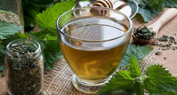 Herbata z pokrzywy – właściwości, zastosowanie, sposób przygotowania