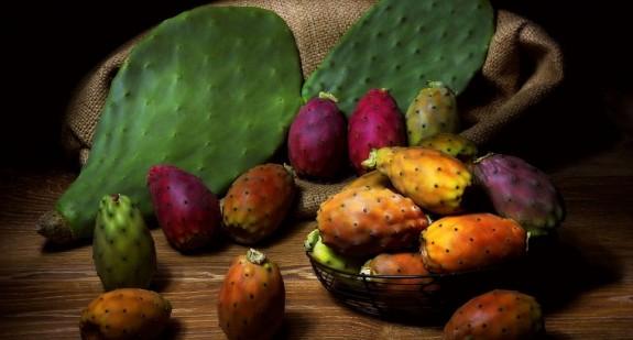 Opuncja figowa – olejek o wyjątkowych właściwościach. Jak go stosować? Gdzie kupić?