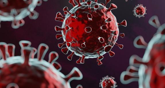WHO: indyjski szczep koronawirusa to wariant wywołujący niepokój