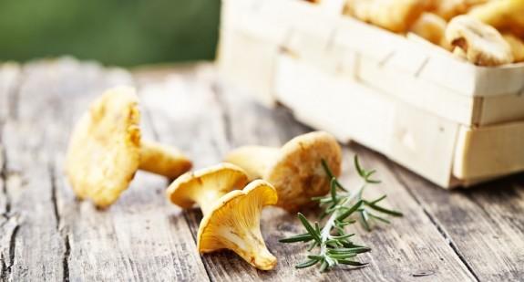 Pieprznik jadalny (kurka) – jakie wartości odżywcze ma grzyb? Jak go rozpoznać i jak podawać?