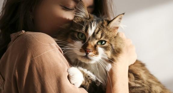 Felinoterapia. Uczeni znaleźli sposób, by lepiej komunikować się z kotem i zacieśnić z nim więź 