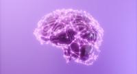 Alzheimerem można się zarazić? Niepokojące odkrycie badaczy